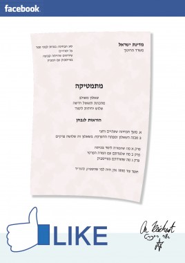 הקריקטורה היומית של אור רייכרט: הבגרות זלגה לפייסבוק