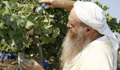 הפלסטינים מחרימים? קמפיין לרכישה של מוצרי התיישבות