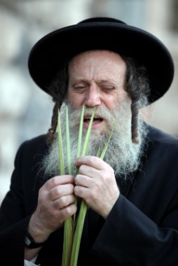 שלא יעבדו עליכם: הלקסיקון המלא לשוק ארבעת המינים