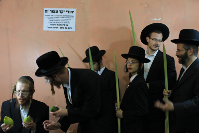 שלא יעבדו עליכם: הלקסיקון המלא לשוק ארבעת המינים
