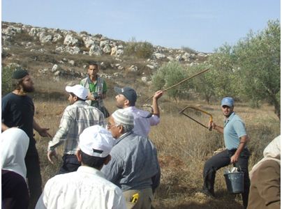 החלה עונת המסית: ביישובי השומרון מכינים תרופה למכה