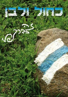 הזדמנות אחרונה להצבעה עבור תחרות "ציונות בסביבה"