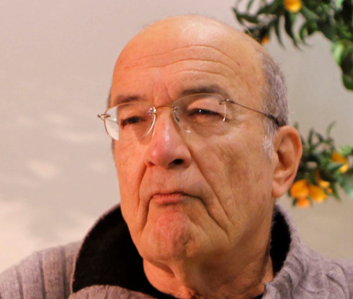יוסי שריד: בגין ושמיר טרוריסטים לא פחות מערפאת