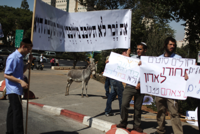 תמונות ממצעד הבהמות שנערך בצהרים בירושלים