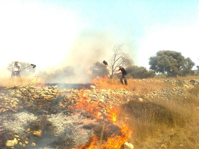ערבים הציתו שריפה שכמעט והגיעה לבתי 'גבעת רונן'