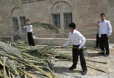 יוצא דופן: הלקסיקון המלא של בניית הסוכה