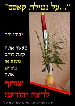 קמפיין נגד לולבים ממצרים ומעזה: "על נטילת קסאם"