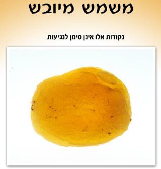 סדר ט"ו בשבט: הרבנות ממליצה לא לאכול תאנים