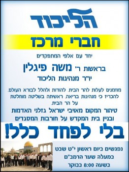 פייגלין טוען: לא קראתי להרוס את המסגדים בהר הבית
