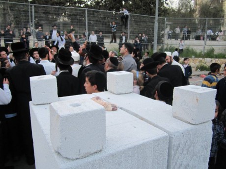 אם השנה נוכל להקריב קרבן פסח, ככה זה ייראה