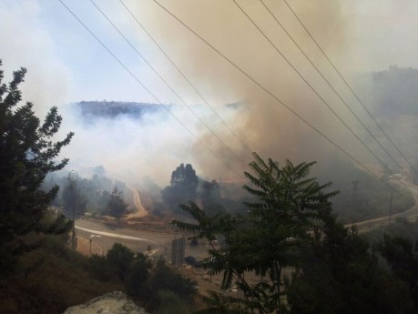 שריפת הענק: כביש מס' 1 נסגר; תושבים פונו מבתיהם