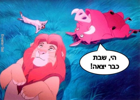 דוסים מצייצים: הדתיים נכנסים לזירת הממים