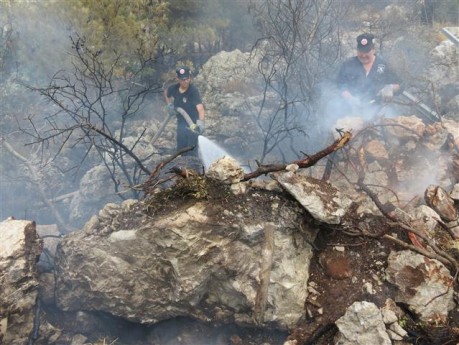 דליקה כובתה בסמיכות לגדר הישוב דולב; חשד להצתה