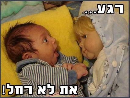 קבלו: מיטב הסטטוסים של 'דוסים מצייצים' לחודש אב