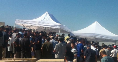המסורת נמשכת: אלפים עלו לציון הראי"ה קוק זצ"ל
