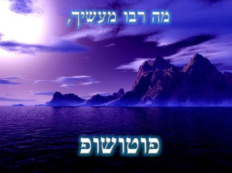 מצעד דוסים מצייצים מקץ: הממים הכי מצחיקים של הסרוגים