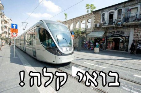 מצעד דוסים מצייצים: הממים הכי מצחיקים של הסרוגים