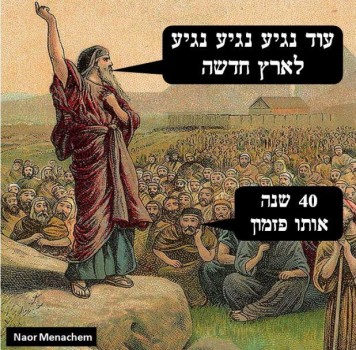 מצעד דוסים מצייצים: הממים הכי מצחיקים של הסרוגים