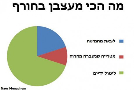 מצעד דוסים מצייצים: הממים הכי מצחיקים של הסרוגים