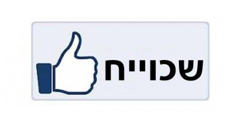 מצעד דוסים מצייצים: הממים הכי מצחיקים של הסרוגים