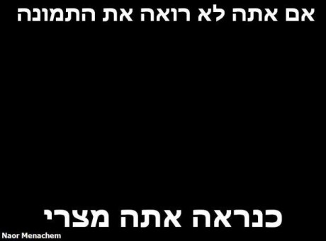 מצעד דוסים מצייצים: הממים הכי מצחיקים של הסרוגים