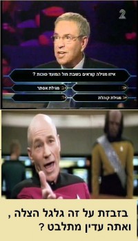 מצעד דוסים מצייצים: הממים הכי מצחיקים של הסרוגים