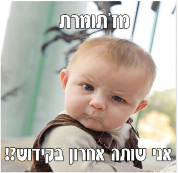 מצעד דוסים מצייצים: הממים הכי מצחיקים של הסרוגים