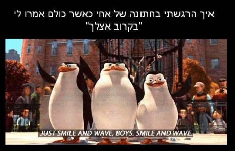 מצעד דוסים מצייצים: הממים הכי מצחיקים של הסרוגים