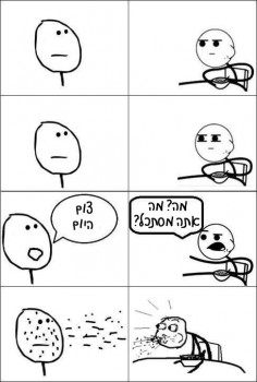 מצעד דוסים מצייצים: הממים הכי מצחיקים של הסרוגים