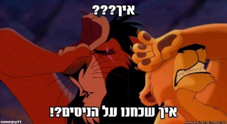 מצעד דוסים מצייצים: הממים הכי מצחיקים של הסרוגים