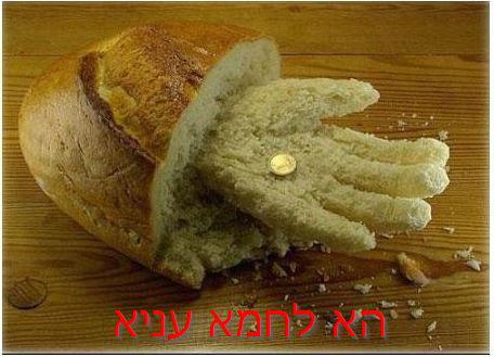 מצעד דוסים מצייצים: הממים הכי מצחיקים של הסרוגים