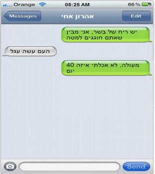 מצעד דוסים מצייצים: הממים הכי מצחיקים של הסרוגים