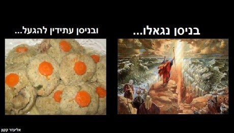 מצעד דוסים מצייצים: הממים הכי מצחיקים של הסרוגים