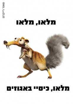 מצעד דוסים מצייצים: הממים הכי מצחיקים של הסרוגים