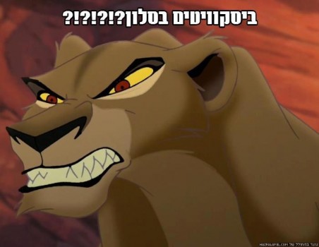 מצעד דוסים מצייצים: הממים הכי מצחיקים של הסרוגים