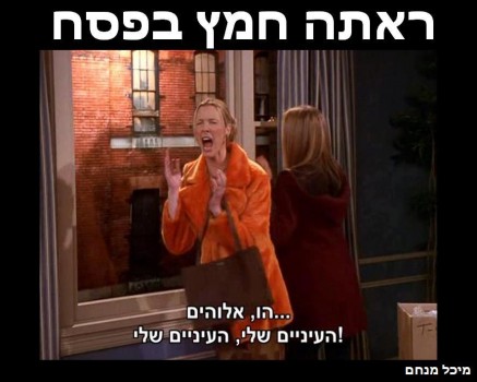 מצעד דוסים מצייצים: הממים הכי מצחיקים של הסרוגים
