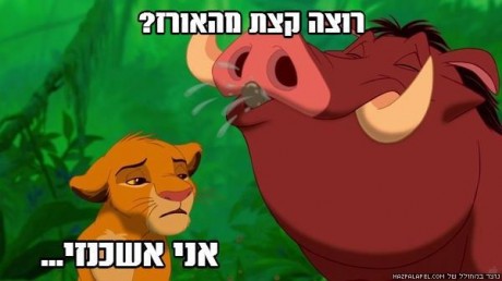מצעד דוסים מצייצים: הממים הכי מצחיקים של הסרוגים