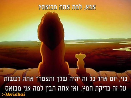 מצעד דוסים מצייצים: הממים הכי מצחיקים של הסרוגים