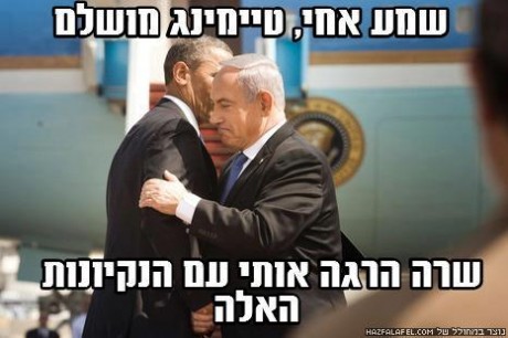 מצעד דוסים מצייצים: הממים הכי מצחיקים של הסרוגים