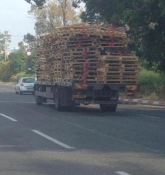 מצעד דוסים מצייצים: מי ניצח את הממים של ל"ג בעומר?