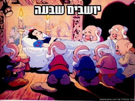 מצעד דוסים מצייצים: הממים המצחיקים ביותר של השבוע