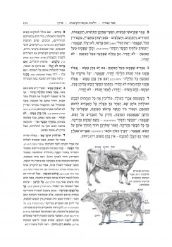 אפליקציית תורה ועבודה: ללמוד ולהבין את הרמב"ם