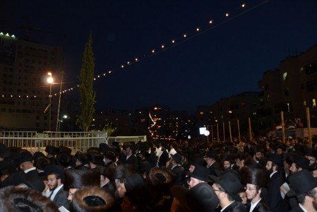 גלריית תמונות: חתונת נכדו של האדמו"ר מבעלזא