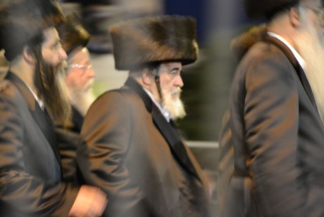 גלריית תמונות: חתונת נכדו של האדמו"ר מבעלזא