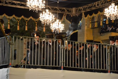 גלריית תמונות: חתונת נכדו של האדמו"ר מבעלזא