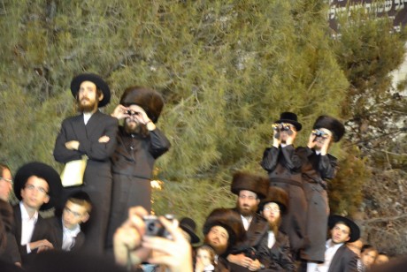 גלריית תמונות: חתונת נכדו של האדמו"ר מבעלזא