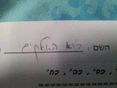 מצעד דוסים מצייצים 23: הממים האהובים ביותר השבוע