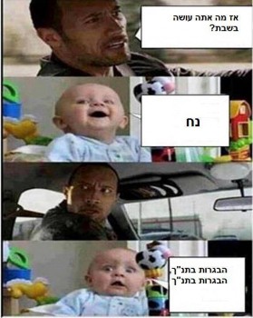 מצעד דוסים מצייצים 24: הממים האהובים ביותר השבוע