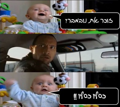 מצעד דוסים מצייצים 25: הממים האהובים ביותר השבוע
