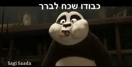 מצעד דוסים מצייצים 26: הממים האהובים ביותר השבוע
